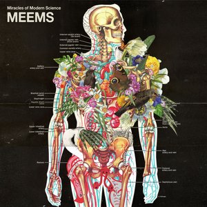 Image for 'MEEMS'