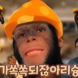 이해가쏙쏙되잖아리슝좍아