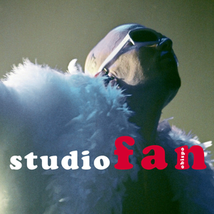 Studio fan cover