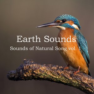Sounds of Natural Song Vol. 1