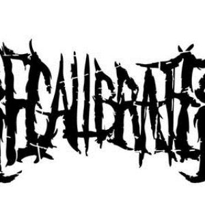 Recalibrater 的头像