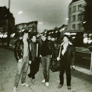 Everyman Band 的头像