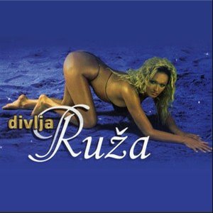 Image for 'Divlja Ruža'