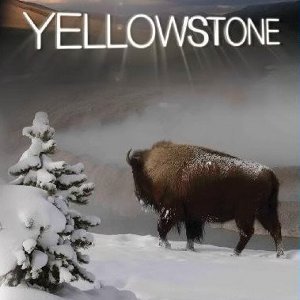 Yellowstone