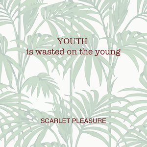 Image for 'Youth Is Wasted On The Young'