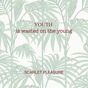 Youth Is Wasted On The Young