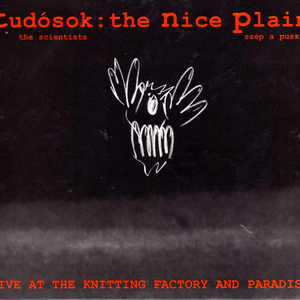 The Nice Plain cover