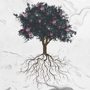 Superbloom - EP