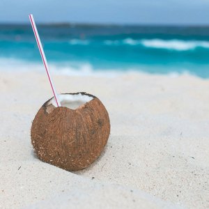 just fell out of a coconut tree