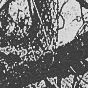 Avatar for Gangráðr