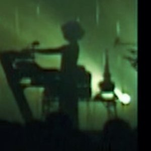 Avatar for asplenium nidus