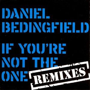 If You're Not The One (Remixes)