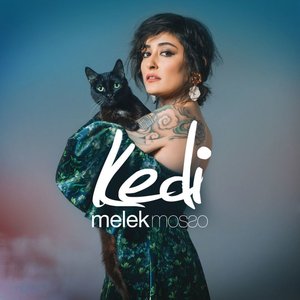 Kedi - Single