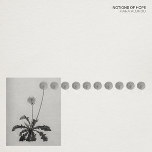 Notions of Hope