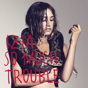 Изображение для 'So Much Trouble'