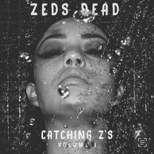 Catching Z's, Vol. 1 (DJ Mix)
