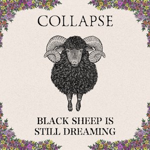 BLACK SHEEP IS STILL DREAMING