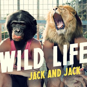 Wild Life - Single