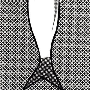 Poisson Soluble