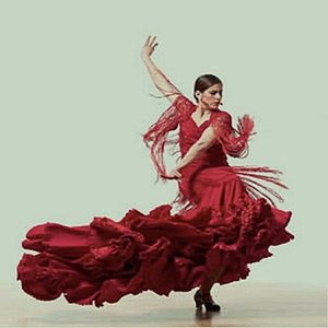 Viva Flamenco