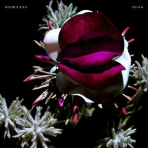 Dooroogo - Single