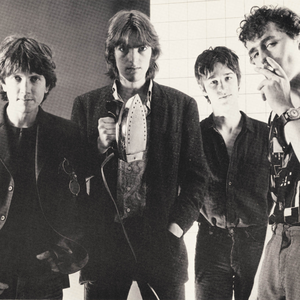 The Soft Boys photo provided by Last.fm