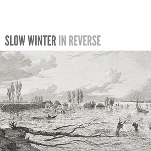 In Reverse
