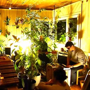 Tropical Soldiers in Paradise 的头像