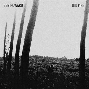 The Old Pine EP