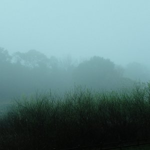 LOG by MIYAUCHI YURI 的头像