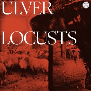 Locusts [Explicit]