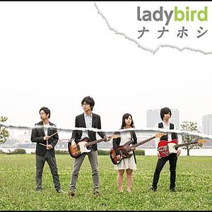ladybird