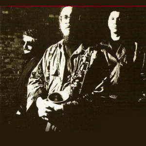 Thomas Chapin Trio photo provided by Last.fm