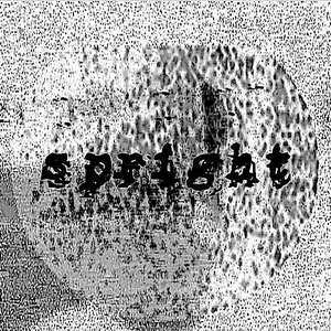 Spright 的头像