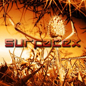 SurfaceX 的头像