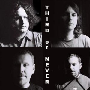 Avatar for Third of Never