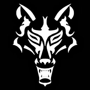 Solar Wolf 的头像