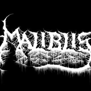 Maliblis 的头像