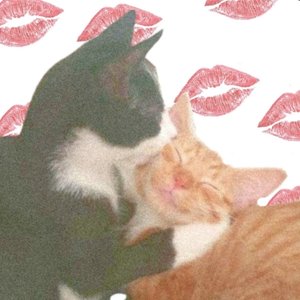 hugs n' kisses