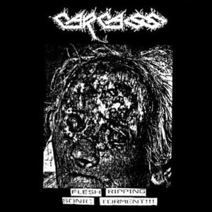 Flesh Ripping Sonic Torment