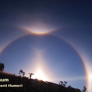 Anent Humeri EP