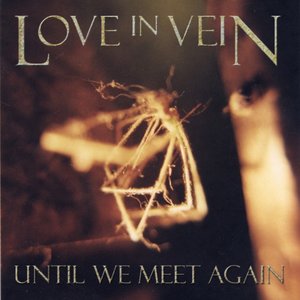 “Until We Meet Again”的封面