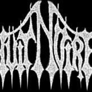 Nuit Noir 的头像
