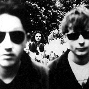 Moose photo provided by Last.fm