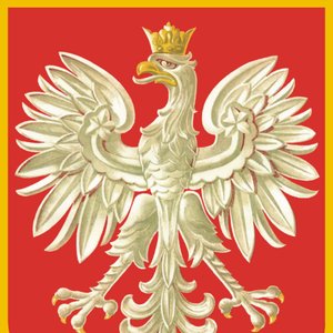 Polskie piosenki 的头像