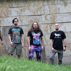 Avatar for Devoidment