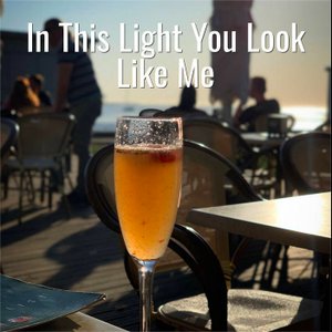 In This Light You Look Like Me
