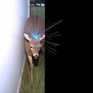 psalms - EP