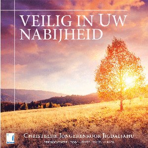Veilig in Uw Nabijheid (feat. Bert Noteboom, Marco den Toom, Lennart Morée, Marjolein de Wit, Diana Abspoel & Strijkkwintet o.l.v. Anouschka Franken)
