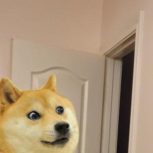 Image for 'BIG ASS DOGE'